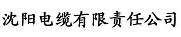 国内航班每年多少班次电缆厂logo